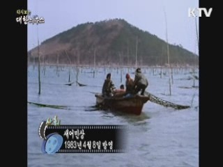 다시보는 대한늬우스 (83.04.08)