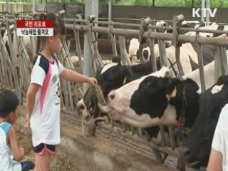 밀크스쿨서 낙농체험해요 [국민리포트]