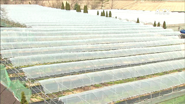 농식품, FTA 파고 '수출'로 활로 개척