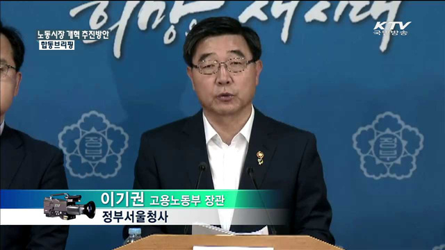 노동시장 개혁 추진방안 합동브리핑