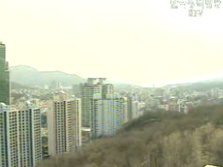 종합부동산세 통지문 일제 발송