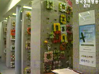 행정도시 내 종합장례단지 조성