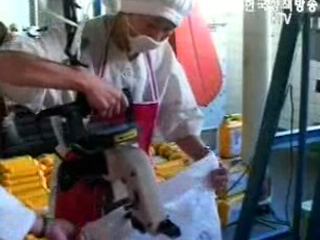 `대북 식량지원 보유량 내년 1월이면 동 나`