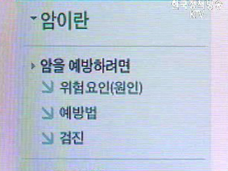 암정보센터 홈페이지, 국제적 수준 개편