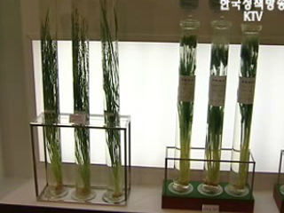 농업 신기술로 로열티 해결