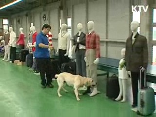 복제 마약탐지견, 임무 시작