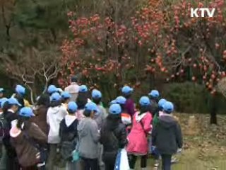 이 대통령, 어린이 기자들과 '감따기' 행사