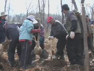 전국 곳곳에서 '나무심기' 전개