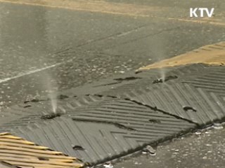 한우농가도 구제역 발생…방역 총력