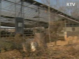 구제역·AI 매몰지 전수조사 실시