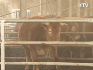 "식량자원 확보, 범국가적 기구 만들어야"