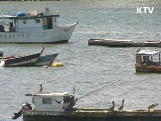 정상간 노력, 파나마 광산개발 길 열려