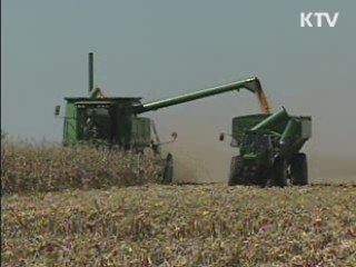 2015년까지 해외곡물 400만톤 확보 추진