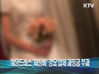 웨딩드레스 '피팅비' 강요 업체 과징금 부과