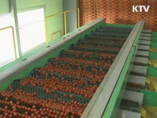 해외 바이어 산지 초청···활로 뚫는다