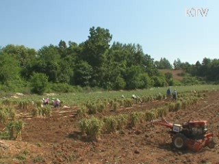 농어업 피해 최소화, 경쟁력 강화 지원