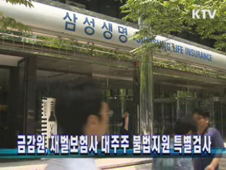 금감원, 재벌보험사 대주주 불법지원 특별검사