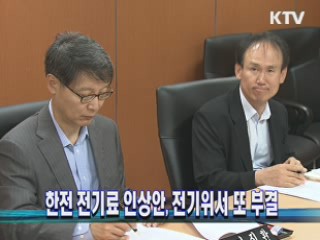 한전 전기료 인상안, 전기위서 또 부결