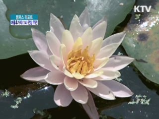 자연이 살아 숨쉬는 곳, '무안' [캠퍼스 리포트]