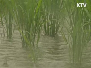 태풍 '덴빈' 전남 상륙…오늘 내륙 관통