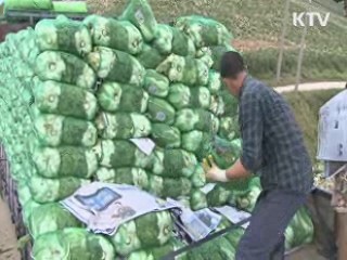 지난달 물가 1% 상승…일곱 달째 1%대