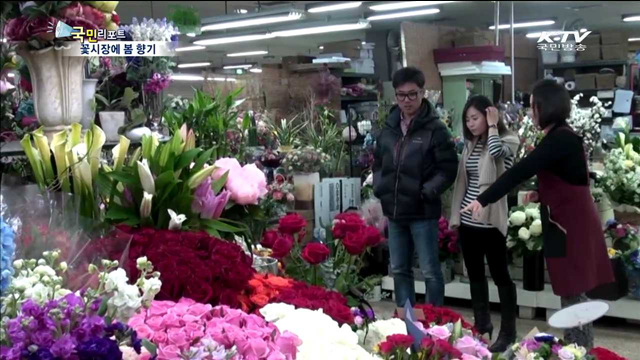 서울 양재동 꽃시장…봄 향기 가득