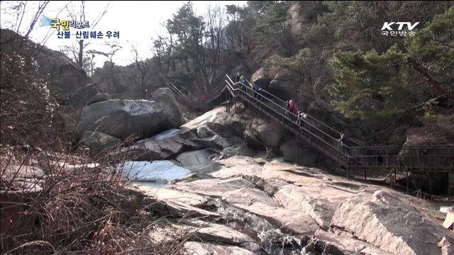 봄철 등산객 증가…유명산 몸살