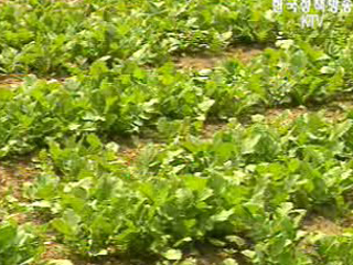 농가 토지개량 지원 효율화된다