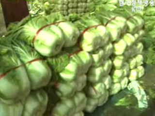 김장 더 담그기