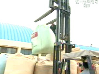 정부, 포대벼 250만석 수매시작