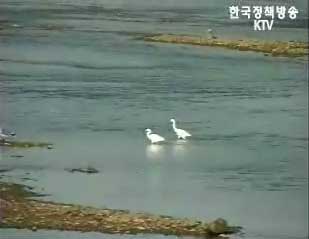 서해 NLL 부근 해양생태계 조사 착수