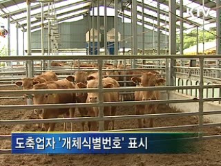 '쇠고기 이력추적제' 사육단계 시행
