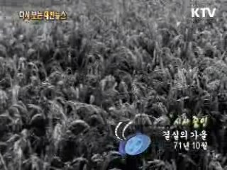 우리는 건설한다(69')