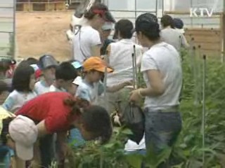 체험마을 재정비, 농어촌 대표브랜드로