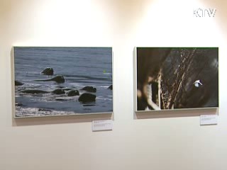 6·25 전쟁 60주년 특별기획전 개최