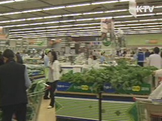 배추값 포기당 5천원대까지 하락