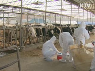 설 전까지 예방접종 완료