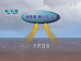 태풍 '산바' 피해와 지원대책은?
