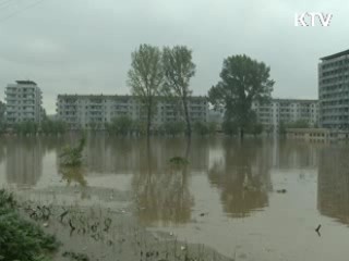 월드비전, 밀가루 500톤 북한에 전달