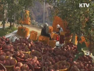 한중FTA '1단계 타결'···1천200개 품목 '보호'