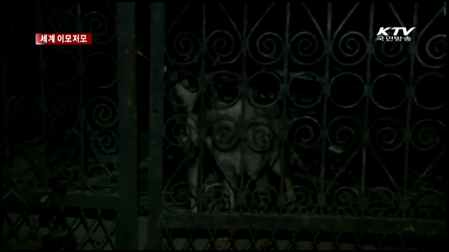 中, 구름 속 황산 보려는 관광객 몰려 [세계 이모저모]