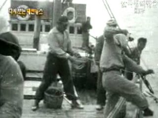 신기한 물고기, 활치 잡이, 제주도(`62)