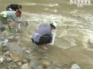 다시 품은 희망