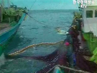 `동원호` 케냐로 이동중