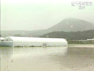 집중호우로 주택 489채 침수