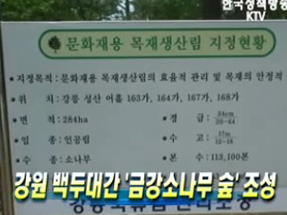 강원 백두대간 '금강소나무 숲' 조성