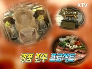 명품한우 프로젝트 [이것이 최고]