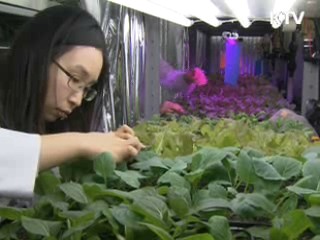 남극 세종기지서 푸른 채소 기른다