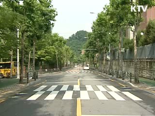 어린이보호구역 1만5천여개로 확대