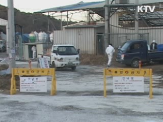 구제역 피해 농가 재산세 감면